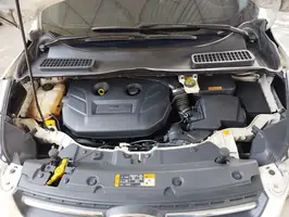 2014  Ford Escape - Image 27