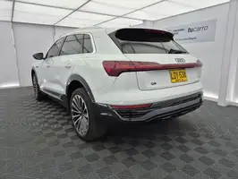 2024  Audi Q8 - Image 13