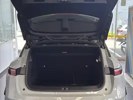 2025  Renault Megane - Image 13