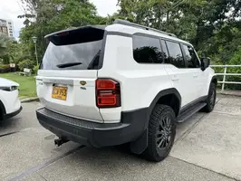 2025  Toyota Prado - Image 32