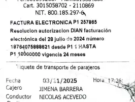 2020  Renault Duster - Image 12