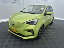 2021  Changan Unknown - Image 4