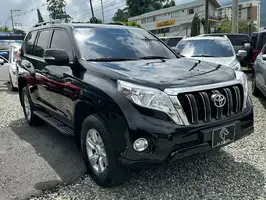 2014  Toyota Prado - Image 3